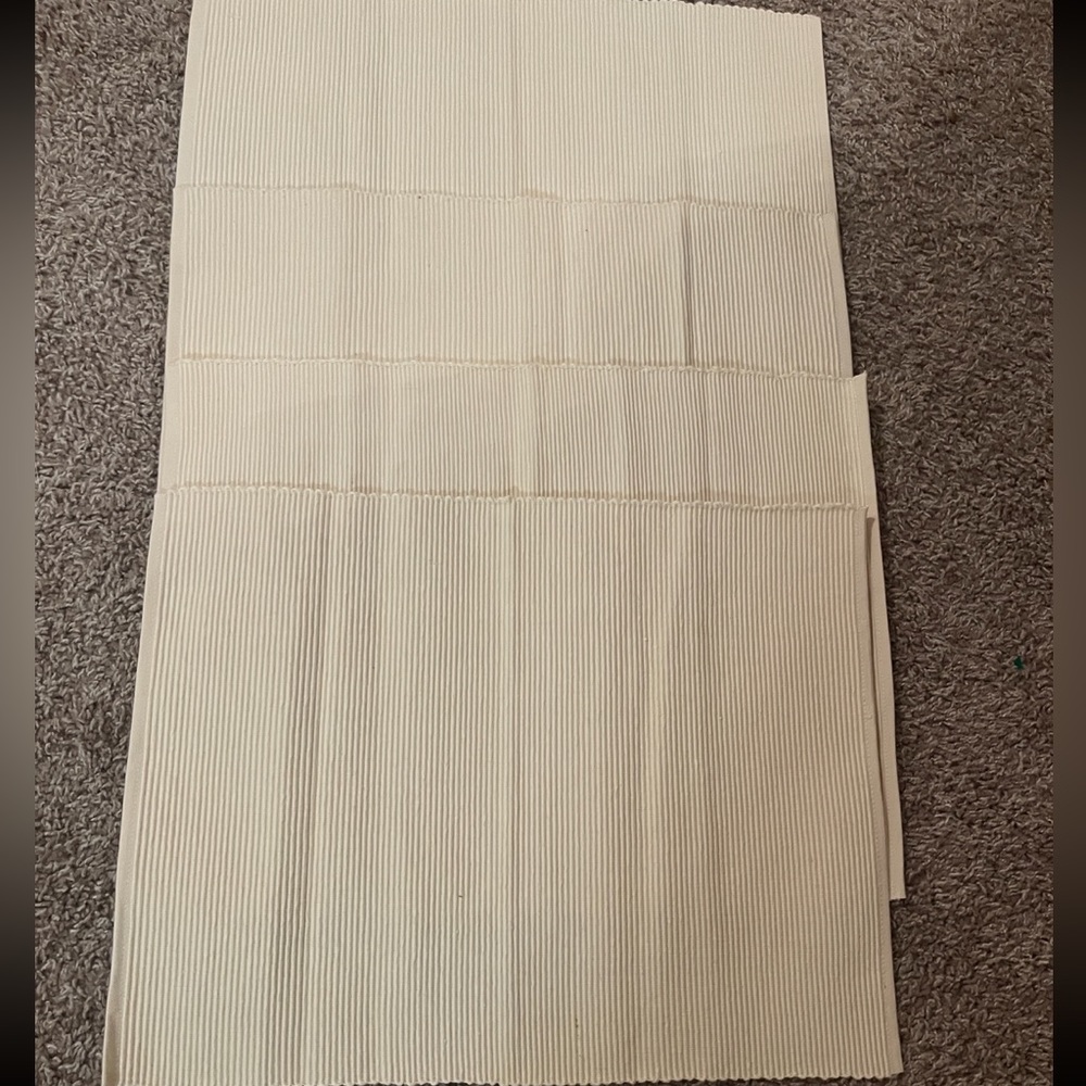 🐠 Tag. Set of Four Placements. NWOT. Color: Cream.